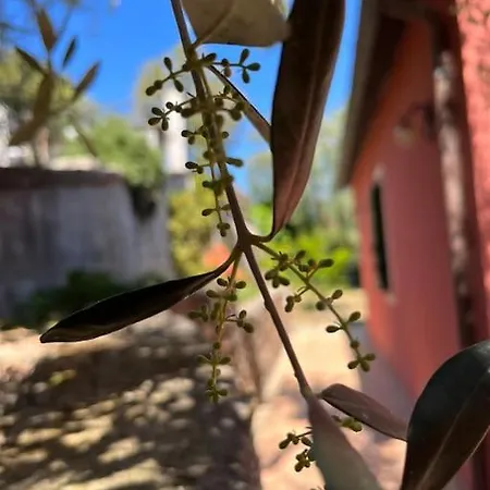 L'orto Di Silvia Διαμέρισμα Imperia