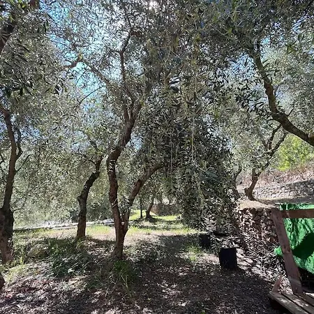 公寓 L'orto Di Silvia