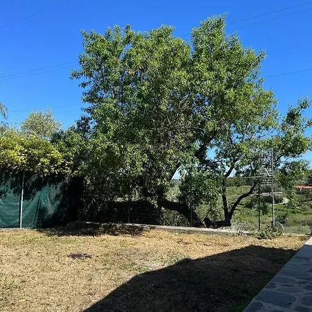 Apartment L'orto Di Silvia